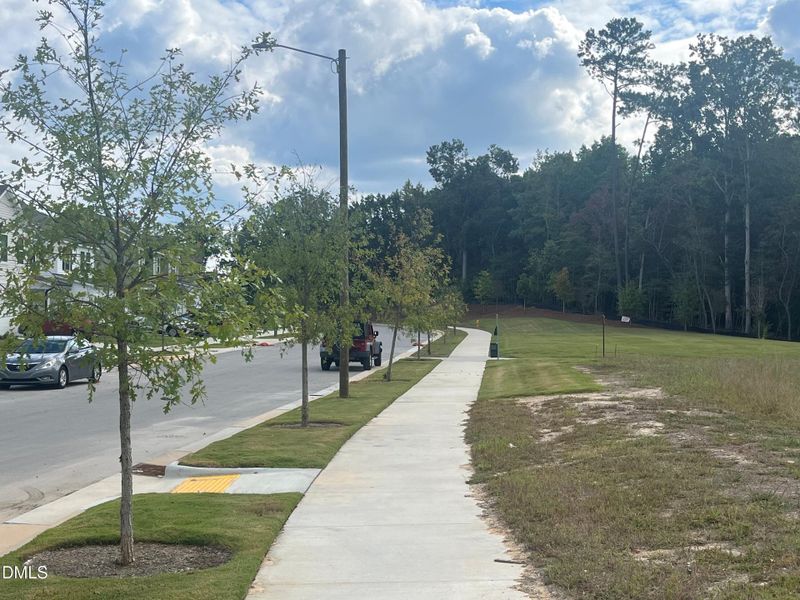 Peace river side walks 2