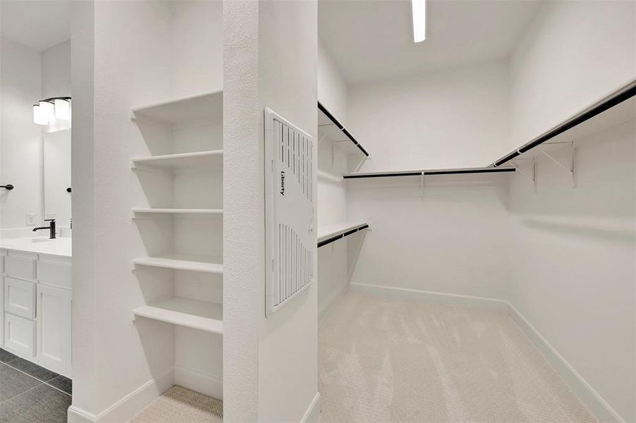 Walk-in closet with carpeted flooring, white shelving, and hanging rods