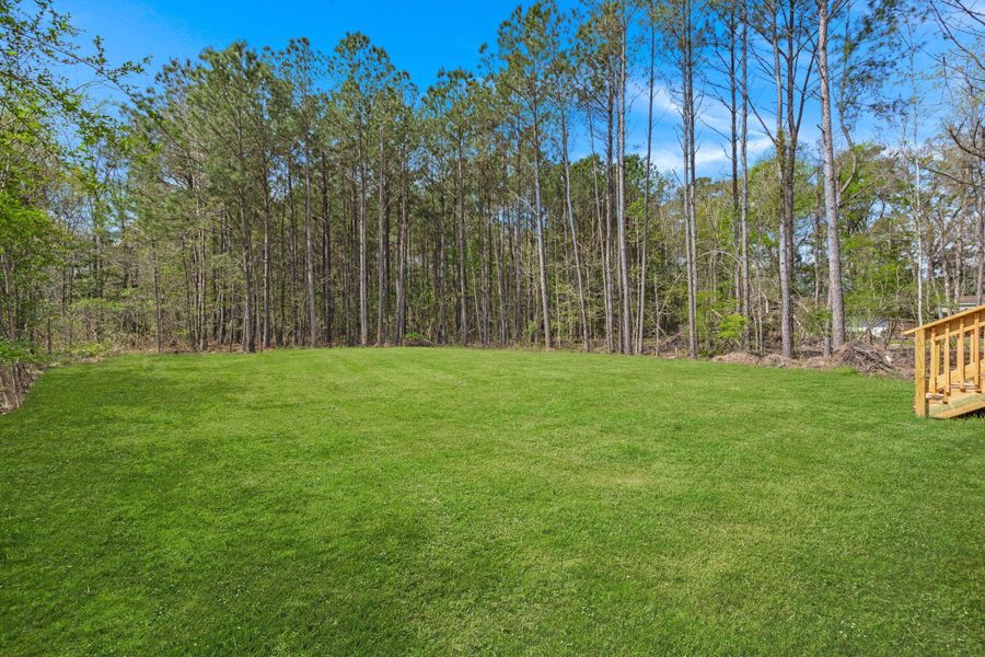 Natural landscape and outdoor views near  in Holly Hill (Image 26).