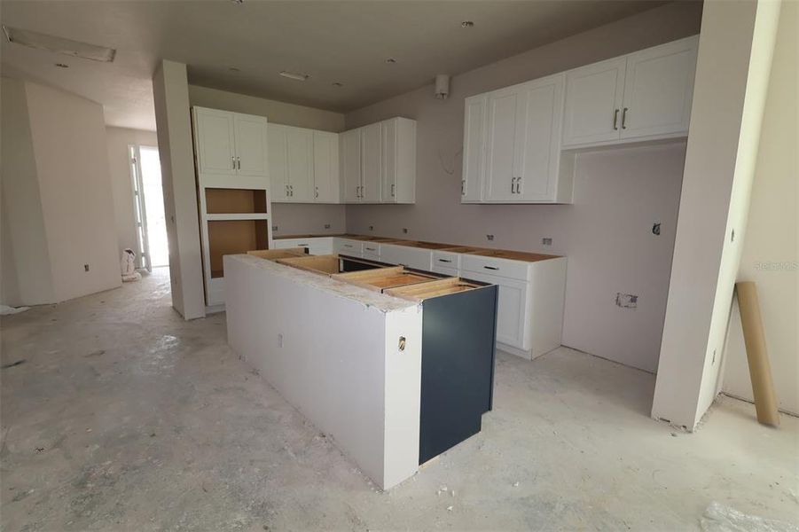 In-progress construction of a new home in Chapel Crossings - Garden Series, Wesley Chapel, FL (Image 10).