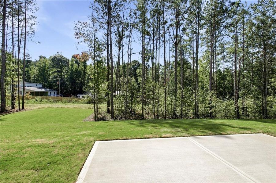 Natural landscape and outdoor views near  in Ellenwood (Image 53).