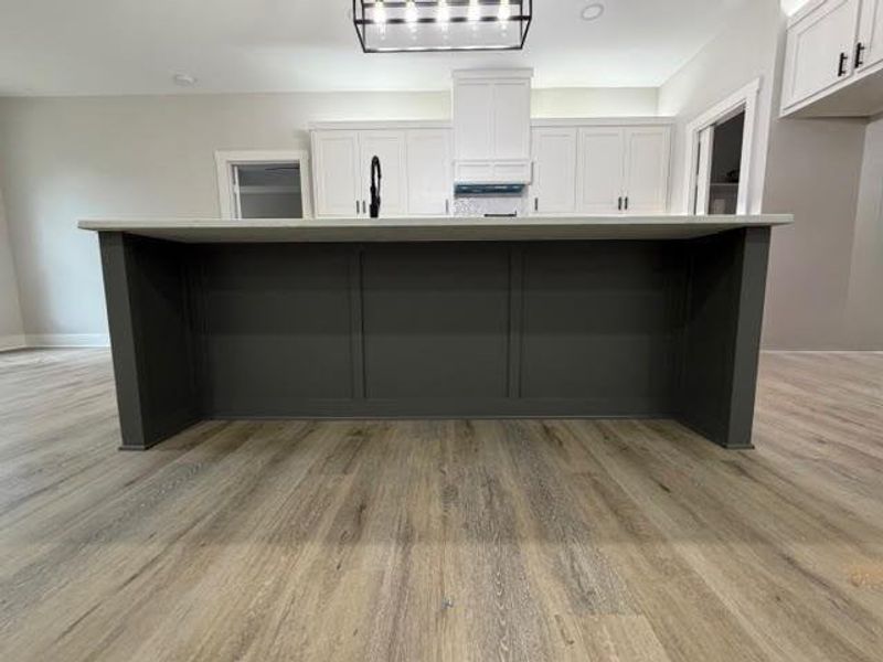 Spacious, unfurnished interior of a new home in , Mineola (Image 22).