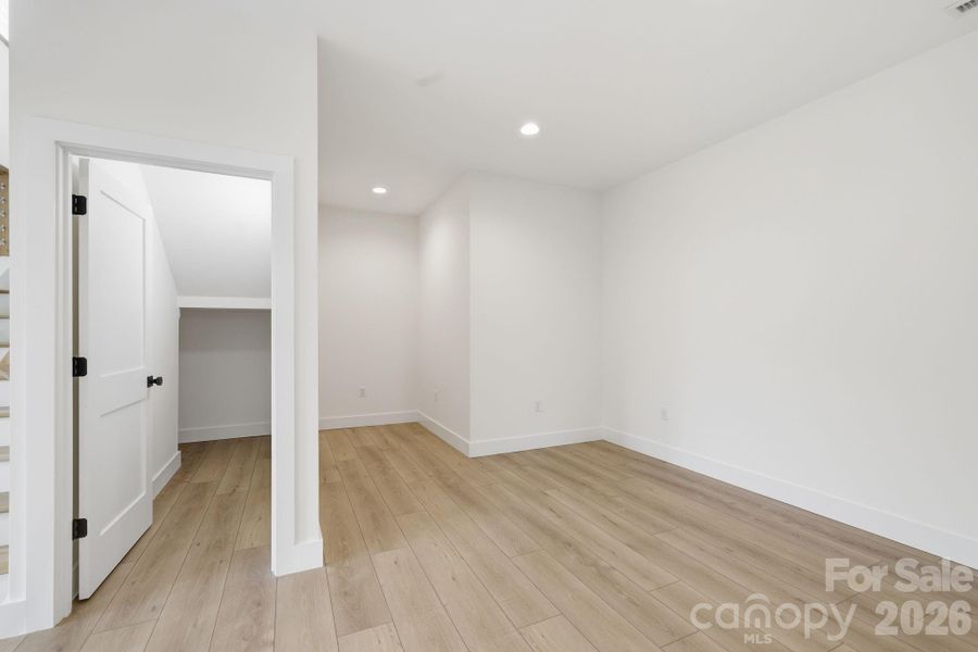 Lower level closet below stairs + additional space