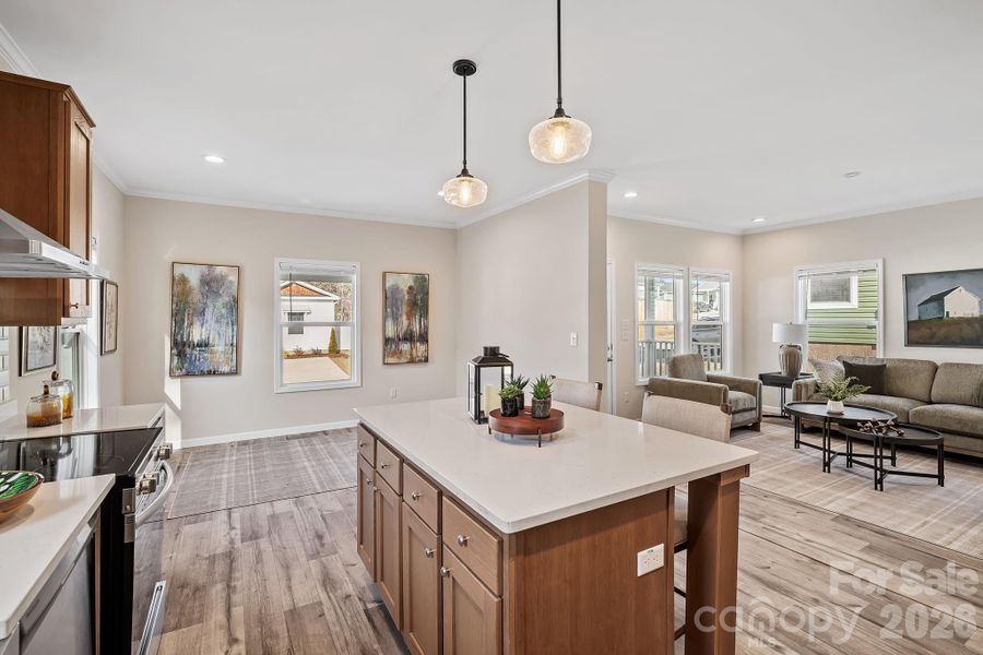 Furnished interior view inside a new home in , Asheville (Image 9).