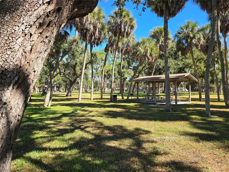 Natural landscape and outdoor views near in St. Petersburg (Image 38). Natural landscape and outdoor views near in St. Petersburg (Image 38).