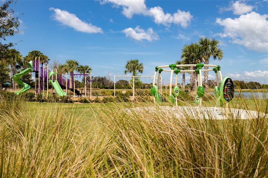 Community amenities in Waterset Garden Series, Apollo Beach (Image 58).