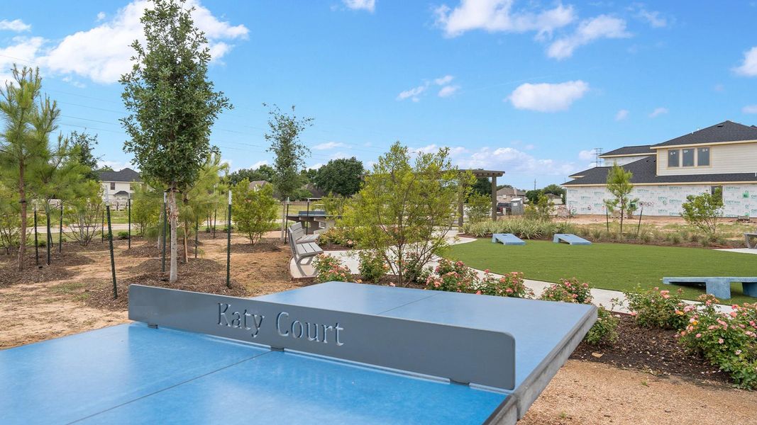 Community amenities in , Katy (Image 4).