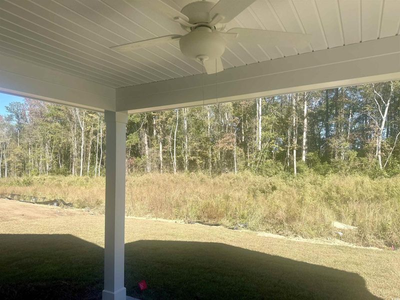View of grassy yard with ceiling fan and a patio View of grassy yard with ceiling fan and a patio
