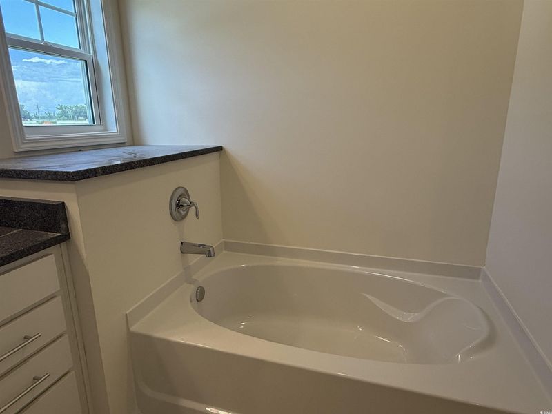 Full bath featuring double vanity, wood finished floors, and a garden tub Full bath featuring double vanity, wood finished floors, and a garden tub