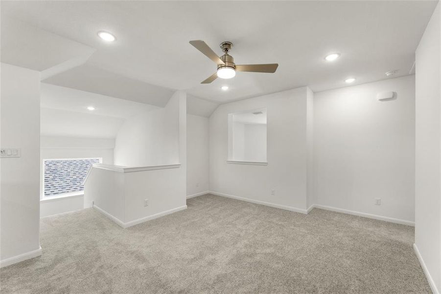 17_Grapevine_Representative Photo 17_Grapevine_Representative Photo