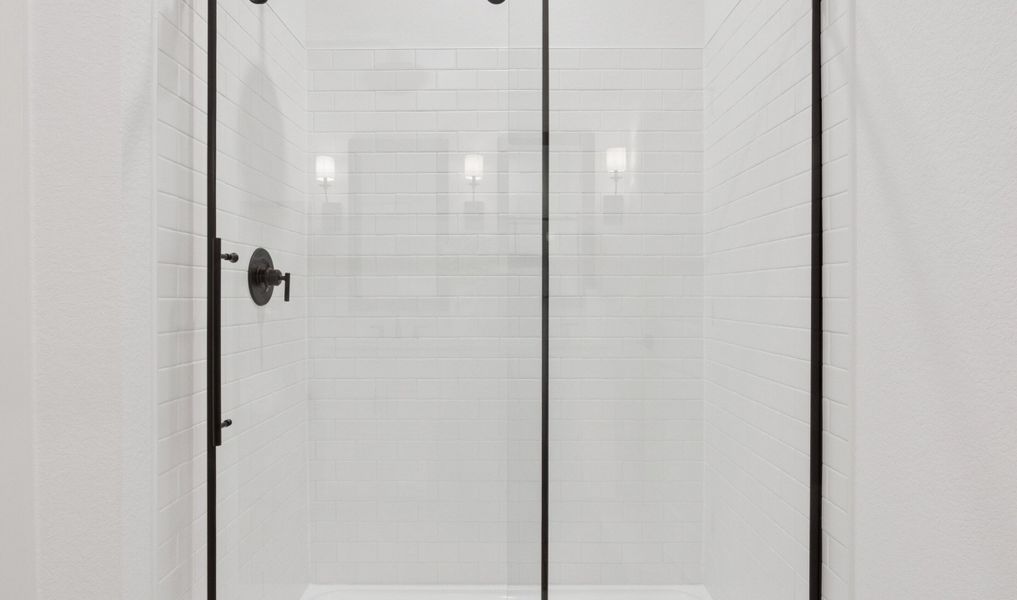 Primary Bath Shower Primary Bath Shower