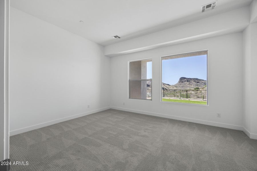 Downstairs Guest Bedroom with View