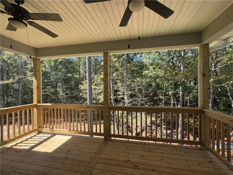 Exterior details and patio area of a home in The Fields of Walnut Creek, Pendergrass (Image 19).