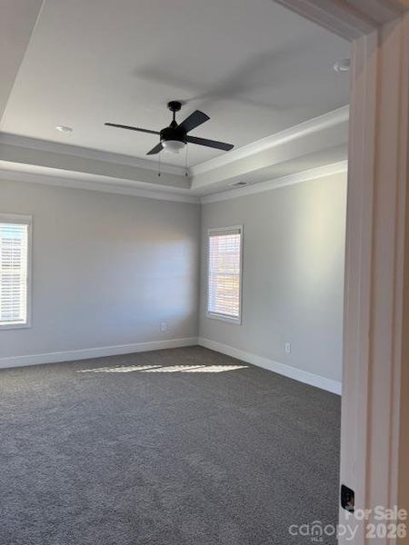 Tray ceiling in primary