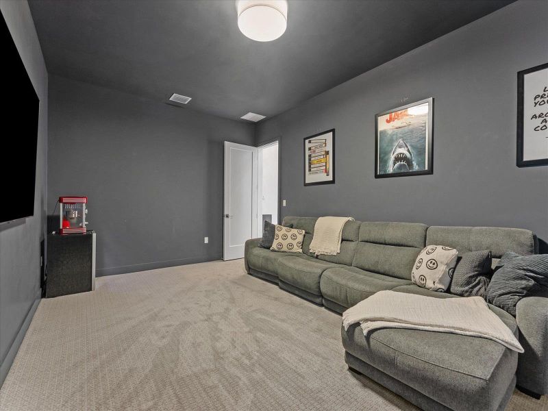 Movie Room Movie Room