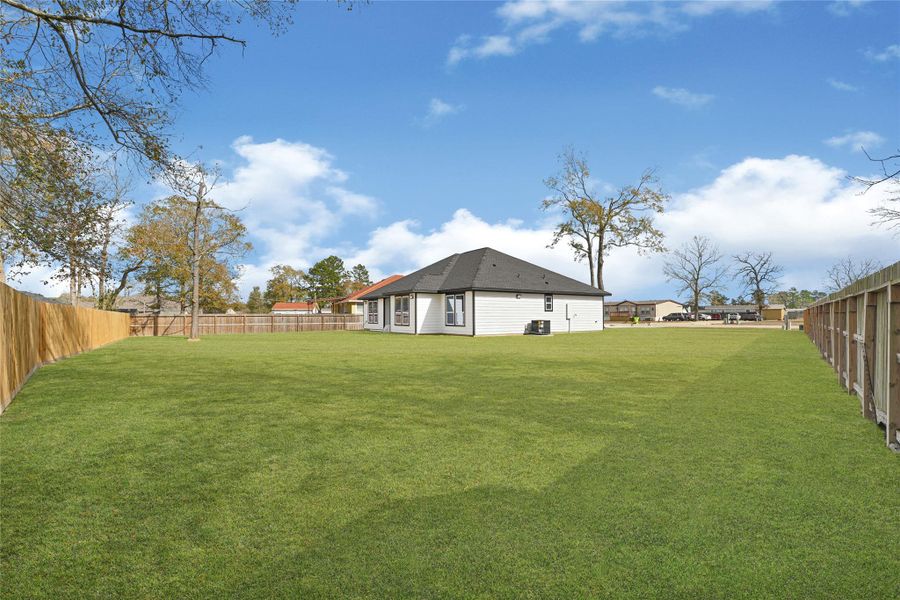 Large Backyard Large Backyard