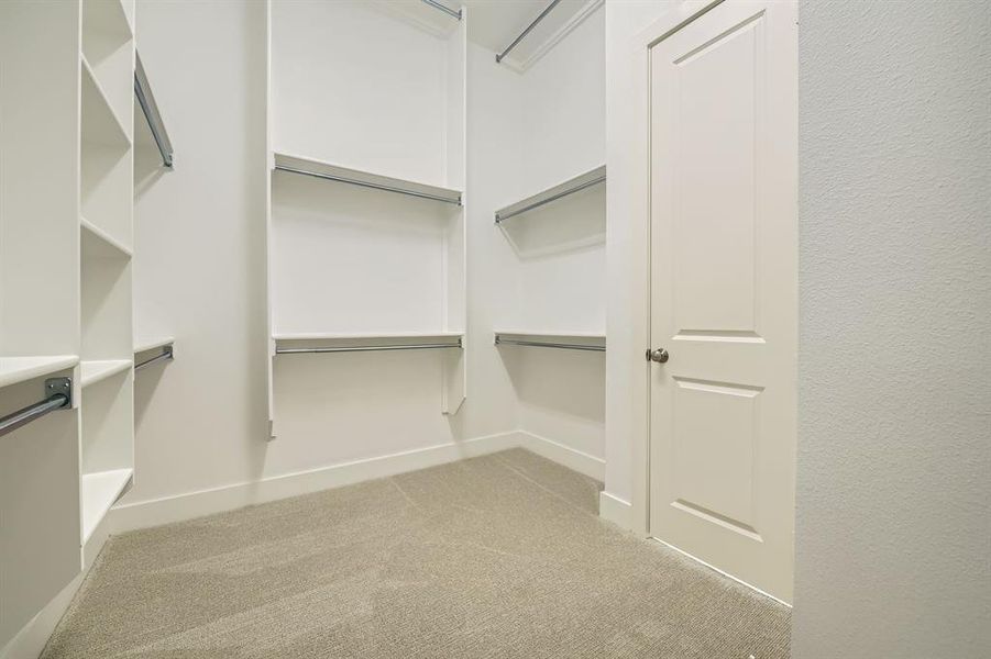 Spacious closet featuring carpet floors