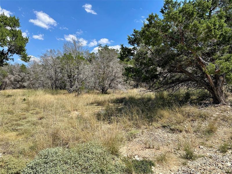 Natural landscape and outdoor views near  in Lago Vista (Image 25).
