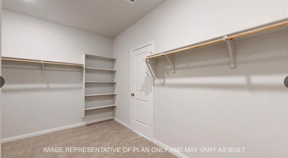 Spacious closet featuring carpet Spacious closet featuring carpet