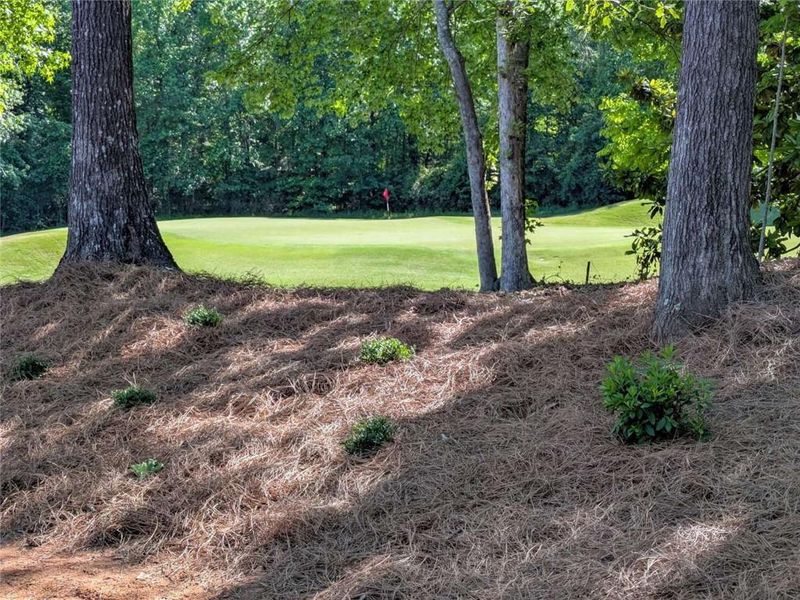 Natural landscape and outdoor views near  in Covington (Image 41).