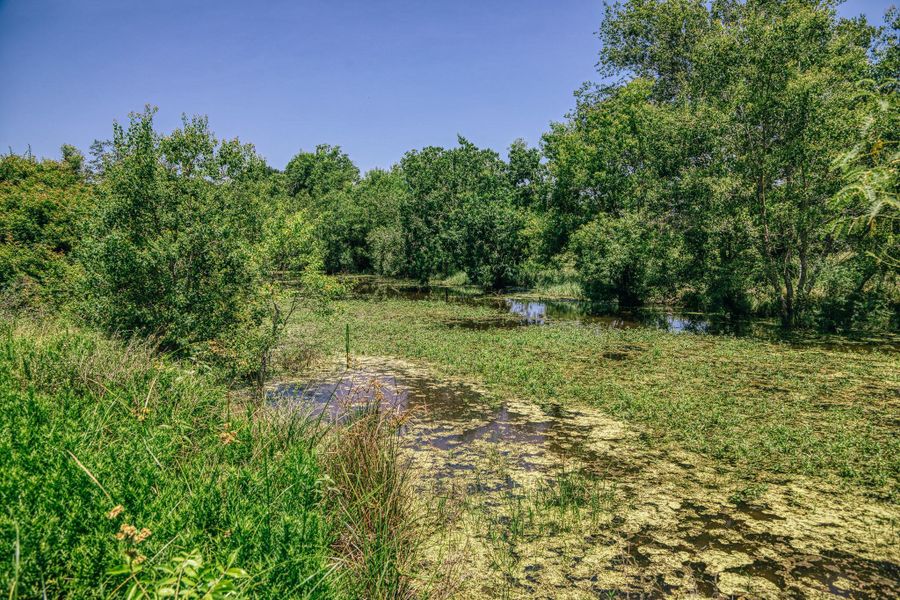 Bessie Creek Bessie Creek