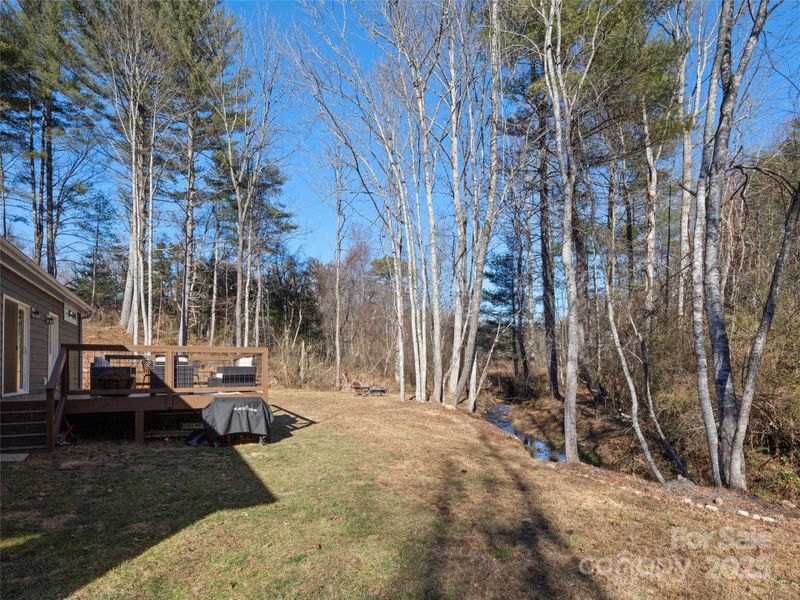 Natural landscape and outdoor views near  in Hendersonville (Image 28).