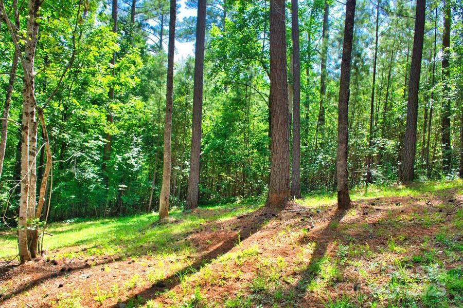 Image 19 of a home in .