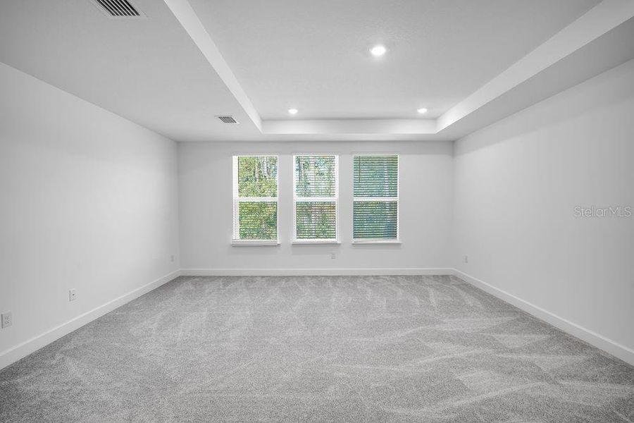Spacious, unfurnished interior of a new home in Hammock at Two Rivers, Zephyrhills (Image 29).