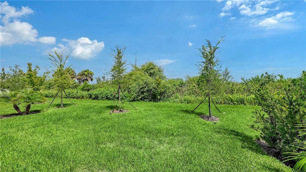 Natural landscape and outdoor views near in Parrish (Image 35). Natural landscape and outdoor views near in Parrish (Image 35).