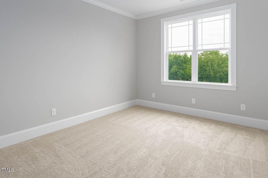 PREVIOUS BUILD PREVIOUS BUILD