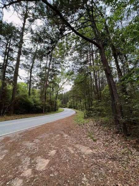 Natural landscape and outdoor views near  in Montgomery (Image 34).
