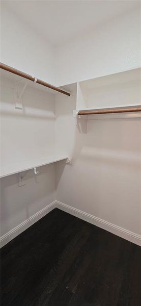 Walk in closet featuring dark wood-style flooring Walk in closet featuring dark wood-style flooring