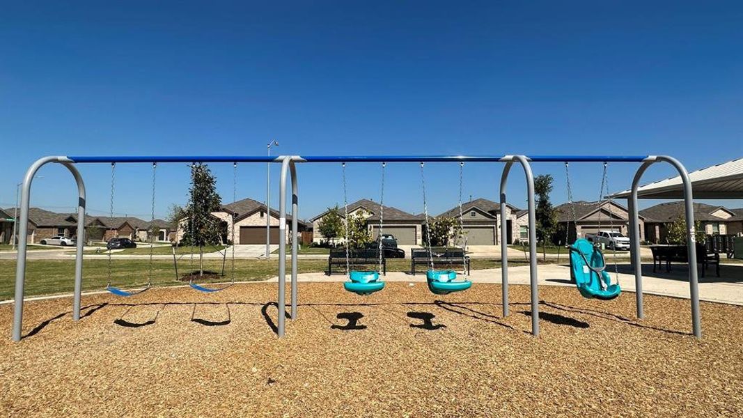 Terra_Trace_Swings