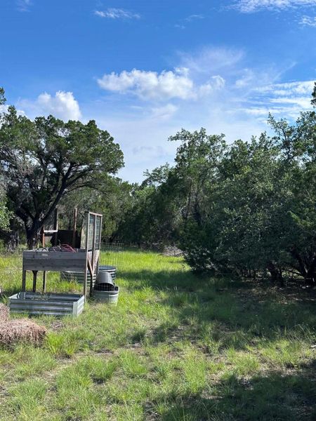 Green pastures and mature trees characterize this tranquil rural setting.