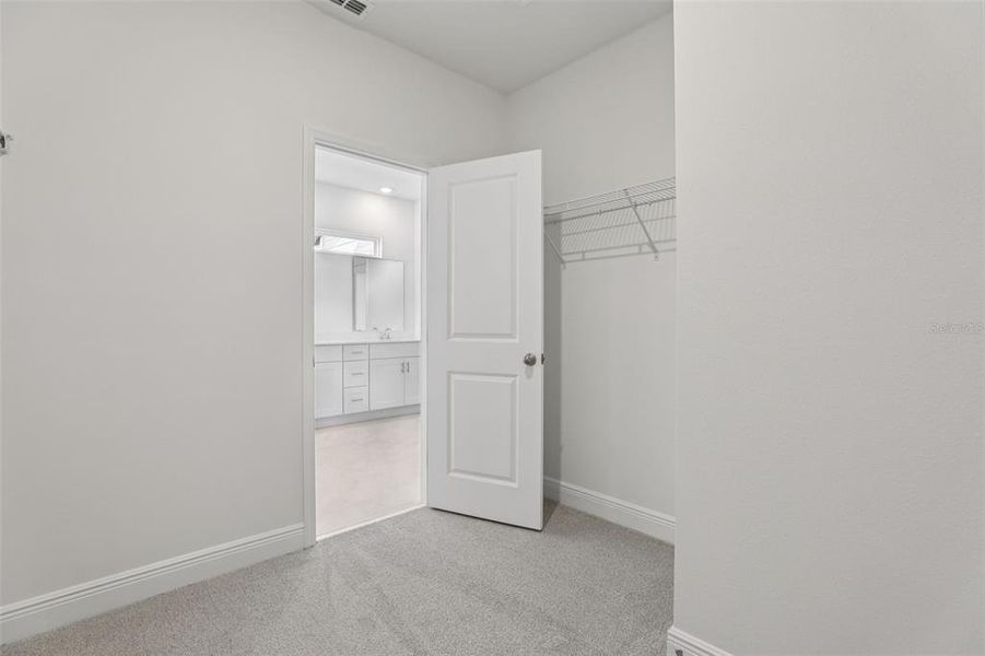 Spacious, unfurnished interior of a new home in Cyrene at Minneola, Minneola (Image 32).