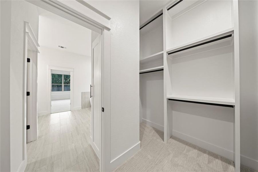 Spacious closet featuring light carpet