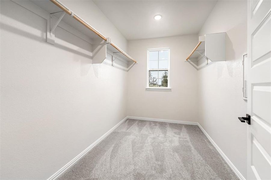 Walk in closet with light colored carpet