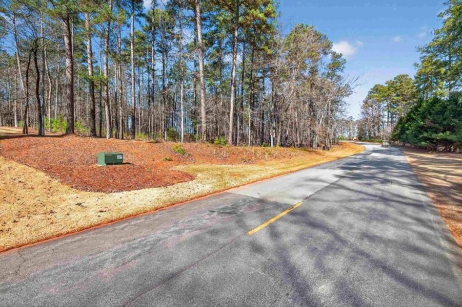 Site preparation for new homesites in , Greensboro (Image 4).