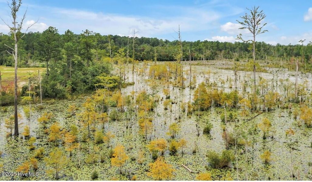 Natural landscape and outdoor views near Terrapin in Leland (Image 62).