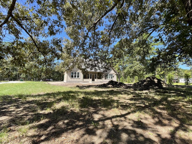 Natural landscape and outdoor views near  in Hollywood (Image 21).