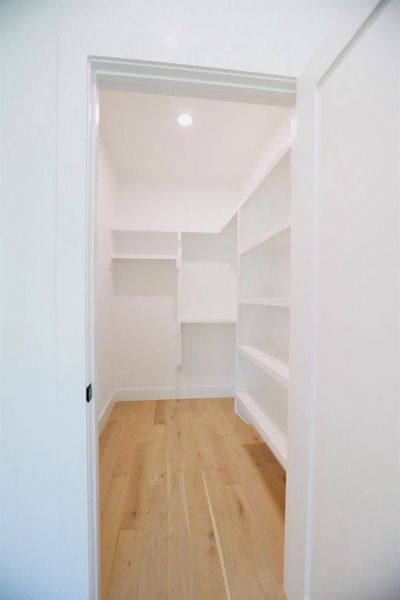 Walk in closet featuring light wood finished floors