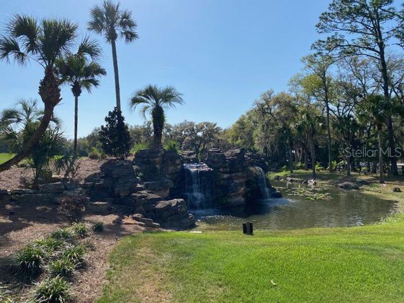 Natural landscape and outdoor views near Juliette Falls in Dunnellon (Image 12).