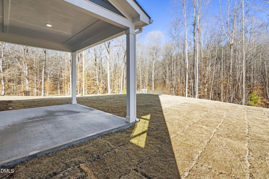 Rear Porch - Toward Trees - DSC04810