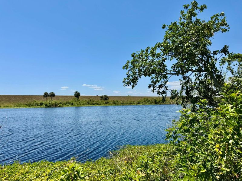 Natural landscape and outdoor views near  in Okeechobee (Image 39).