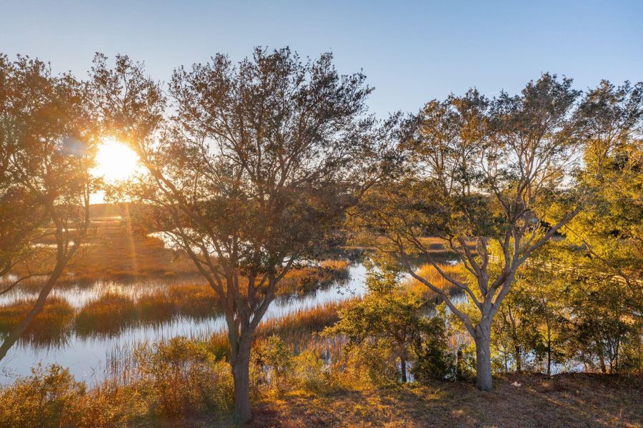 Natural landscape and outdoor views near  in Charleston (Image 23).
