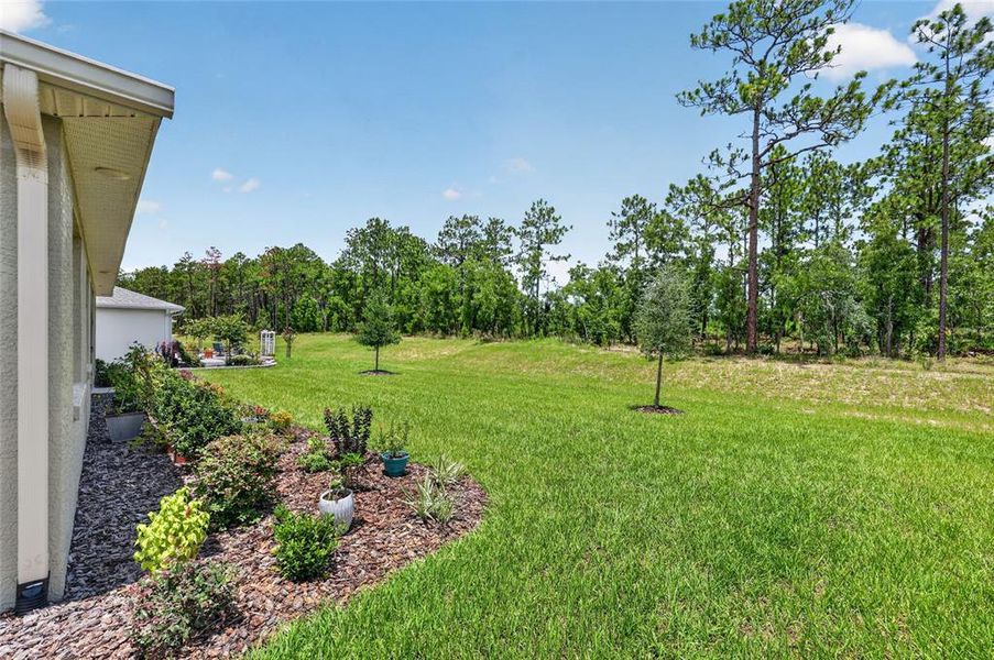 Exterior details and patio area of a home in , Ocala (Image 28).