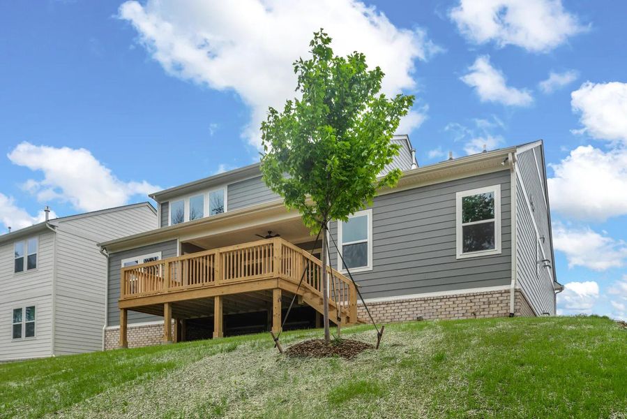 The Dahlia C Exterior Rear