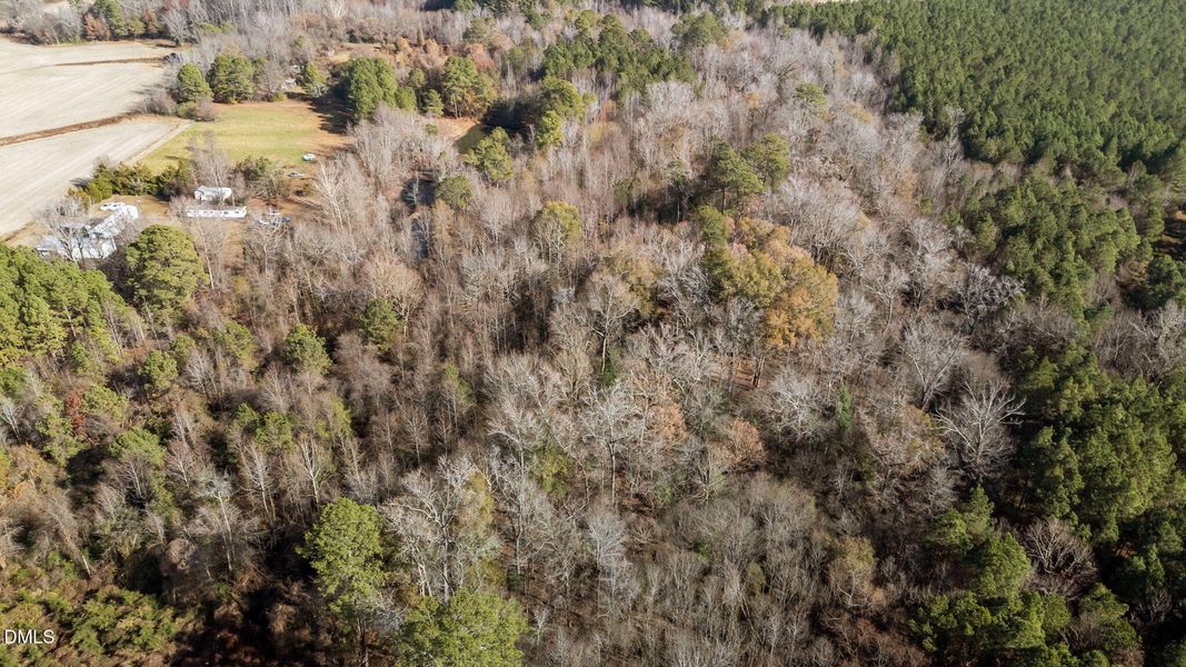 35-web-or-mls-DJI_20251203114618_0058_D