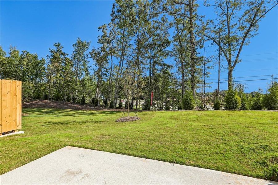 Natural landscape and outdoor views near Weatherfield in Buford (Image 46).
