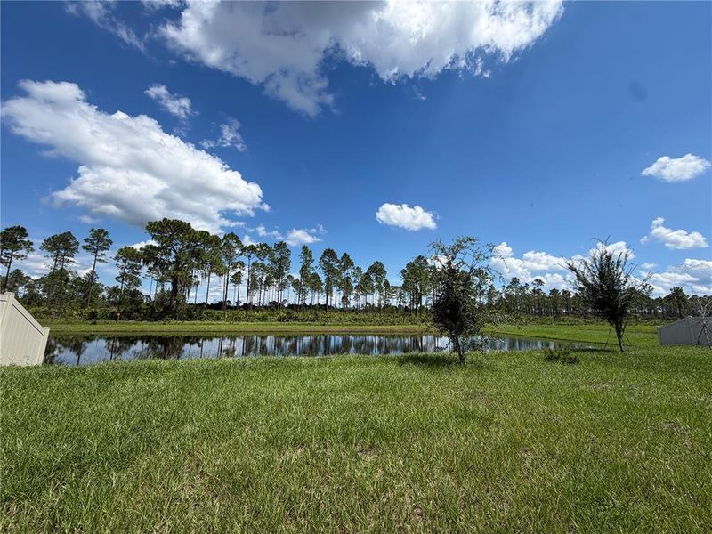 Natural landscape and outdoor views near Lake Deer Estates - Signature Series in Poinciana (Image 15).